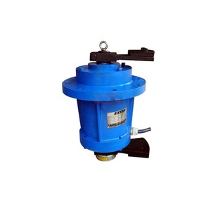 Moteur à vibration vertical monophasé de 0,55 kW pour tamis vibrant rotatif - Product Image 2