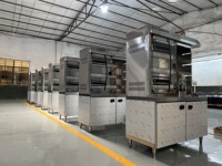 Rôtissoire à poulet commerciale électrique automatique avec double porte verticale et 4 broches