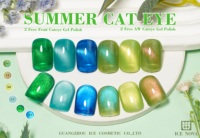 Vernis Gel TPO Free AW Effet Œil de Chat – Meilleures Ventes en Chine – Gel Magnétique Longue Durée Effet Verre pour Ongles Laser