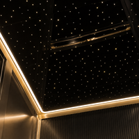 Panneau de plafond de cabine d'ascenseur design moderne, facile à nettoyer, en acier inoxydable pour villa