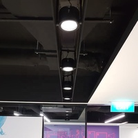 Spot rétractable de style industriel Spot à LED 6 pouces LIGHT CHANNEL éclairage de plafond linéaire à montage en surface