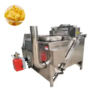 Professional chicken deep fryer price groundnut frying machine commercial powered by gas and electric