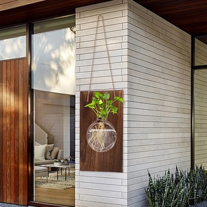 Stazione di propagazione delle piante ecologica personalizzata appeso a parete vaso di fiori per piante idroponiche vaso di vetro appeso con <span class=keywords><strong>Base</strong></span> in legno - Product Image 5