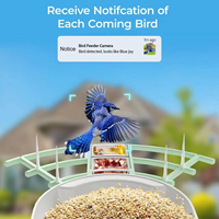 Nourrisseur d'oiseaux avec caméra, prend en charge la reconnaissance d'espèces d'oiseaux par intelligence artificielle, vidéo en