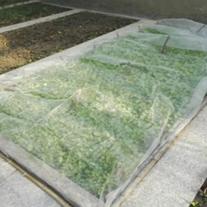 10x50 ft côn trùng chim lưới siêu mịn muỗi Net chim sâu bệnh lỗi nhà máy bao gồm cho Patio nhà máy Rau Trái Cây - Product Image 1