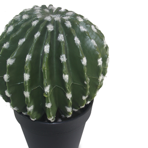 Chuangfa 23Cm Chất Lượng Cao Nhân Tạo Mô Phỏng Fluff Cây Xương Rồng Mới Lạ Cho Tường Trang Trí Sống Lễ Tạ Ơn Trung Quốc Năm Mới - Product Image 4