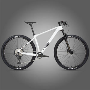Vélo de montagne en fibre de carbone de 29 pouces, M5 Boost, fourche à suspension pneumatique, 12 vitesses, frein à disque hydraulique, VTT - Product Image 1