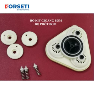 Kit de Reparación de Cabezal de Bomba Forseti FZB-24, Ósmosis Inversa de Plástico, Fácil Instalación, 1 Etapa, Aplicación Doméstica, Precio Competitivo - Product Image 2