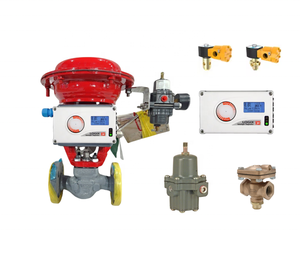 Regulador de Filtro de Aire Emerson Fisher 67CFR y Posicionador de Válvula de Control Digital Flowserve 520MD con Comunicaciones HART - Product Image 5