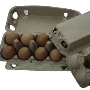 कॉफी ट्रे/फल ट्रे/अंडे ट्रे निर्माण मोल्ड मशीन