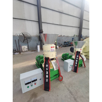 Hope 4 30 Machine à granulés de biomasse de sciure de bois petit usage domestique composants de noyau de moteur à engrenages 380V 100-120 kg/h sortie