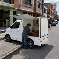 Camion de fret SQ4 en gros, mini-fourgonnette électrique à 4 roues et siège unique, homologuée CEE, pour livraison longue portée, personnalisable