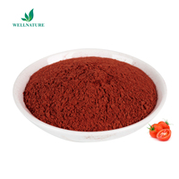 Lycopène de tomate Wellnature 10% Solanum Lycopersicum (tomate) Extrait de fruit Poudre de lycopène