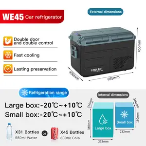 WAYCOOL WE45 38L Dual Temperature Customized Car Fridge Car Freezer 12v Portable Mini AC Cooler