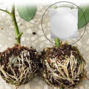 תיבה גדלה עבור גן 5/8cm ב Diameter.5pcs צמח השתרשות כדור השתלה השתרשות תיבה גדלה רבייה מקרה צמח שורש