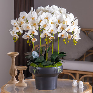 Piante di Orchidea Artificiali in PEVA Effetto Reale con Vaso <span class=keywords><strong>per</strong></span> Decorazione d'Interni - Product Image 2