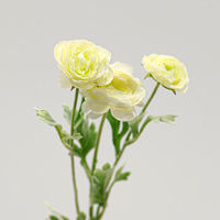Roses artificielles à trois têtes effet toucher réel, aspect givré, pour cérémonies de mariage, Noël, Pâques, rentrée scolaire, décoration moderne