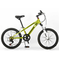 2024 prix usine vélo vtt 29 cadre de vélo de montagne d'occasion vtt suspension complète titane pour hommes