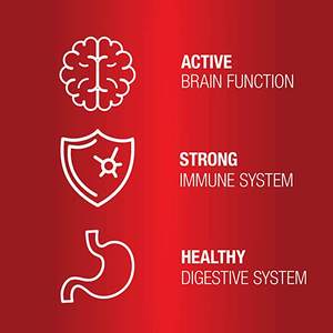 Suplemento multivitamínico de etiqueta privada OEM para perros, suplemento para el cuidado de la salud de mascotas, masticables suaves con probióticos, vitamina para perros - Product Image 4