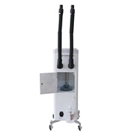 Machine à vapeur capillaire DTY entièrement automatique, à micro-brume d'ozone, hydratante, pour cheveux blancs, tension universelle, pour un traitement capillaire lissant