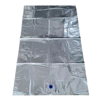 Sac en aluminium BIB 3L 5L 10L 220L avec robinet en plastique pour jus Bag-in-Box avec valve papillon, distributeur de vin Bag-in-Box