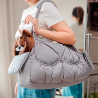 Sac de transport pour animaux de compagnie pliable, moderne, classique et luxueux, avec boutons, portable, carré, imperméable, confortable, avec coussin intérieur réglable