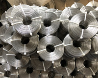 Edelstahl-Weichdraht 0,1mm 1mm 0,08mm 0,7mm Edelstahldraht 201 Edelstahl-Draht