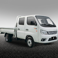 Nouveau camion léger Foton TM 1-2 tonnes 2026 à vendre
