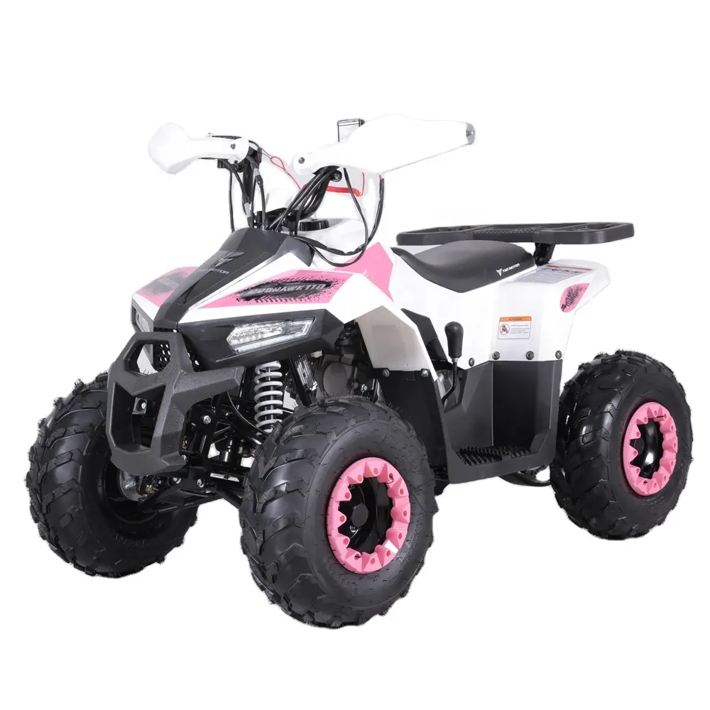 Tao Motor Hot Selling Chinese Cheap Kids 110cc ATV Automatic Xpro 125cc Gas Motorcycle Xag P100 Drone Fly Motor Cover Atv F1
