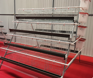 Nouvelle cage à poules automatique multi-niveaux en acier de type A pour élevage de poulets - Product Image 1