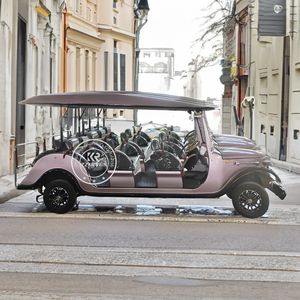 Autobús Turístico de Parque de Atracciones Estilo Antiguo 2025, Auto Clásico Eléctrico, Auto Clásico Vintage, Carrito de Golf - Product Image 6