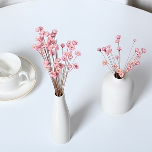 LUYI - Vente en gros de petites fleurs séchées naturelles brésiliennes (étoiles et mini marguerites) pour la Fête des Mères et Noël - Product Image 5