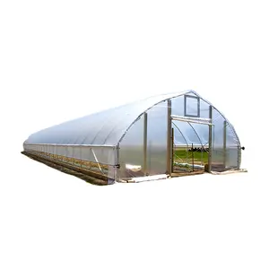 Greenhouse Serre Agricole Green House Metal Frame Horticulture Tropical Greenhouse Price