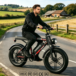 Vélo Électrique Tout-Terrain à Pneus Larges 250W, Moteur Arrière, Batterie Lithium Amovible 48V, <span class=keywords><strong>VTT</strong></span> Adulte pour Déplacements Quotidiens sur Routes Rurales, Vente en Gros - Product Image 5