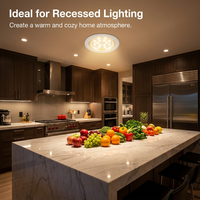Ampoule LED E27 Professionnelle R50, Lumière Véritablement Colorée, Haute Luminosité 3.5W, Économe en Énergie, Longue Durée de Vie pour Kit d'Éclairage sur Rail de Cuisine Solaire