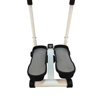 Nouvel Arrivage Appareil de Fitness Compact avec Poignées Rembourrées et Plaques de Repose-Pieds Stables Stepper