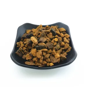 Bai hua rong chaga fornitori di funghi bulk prezzo economico fungo chaga schiacciato