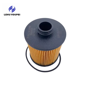 Filtro Olio 1612565980 9807989080 per Peugeot 2008 3008 308S 4008 5008 508 508L 308 408 C3XR C4L C6 <span class=keywords><strong>DS</strong></span> 1.6T - Product Image 1