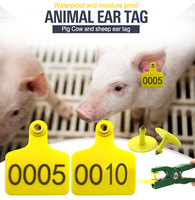 YDES014 Neue TPU Nummerierte Lasergravierte Nutztier-Ohrmarken in 5 Farben (62x70mm) für Schweine, Ferkel und Sauen