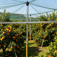 Poste de Acero Galvanizado Ecológico, Resistente y Anti-UV, para Soporte de Enredaderas y Frutales