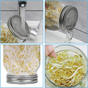 Venta al por Mayor de Frascos de Vidrio Mason de 17 oz, 500 ml y 1000 ml para Germinación de Semillas, Frascos para Hacer Germinación Orgánica, Frascos para Brotes de <span class=keywords><strong>Frijol</strong></span> - Product Image 6