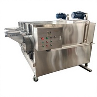Machine de torréfaction électrique pour fèves de cacao et cacahuètes, idéale pour le traitement des noix