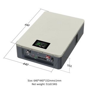 Batería de Ciclo Profundo LiFePO4 de 5 kWh, 10 kWh, 51,2 V, 48 V, 100 Ah, 200 Ah, 300 Ah, Sistema de Almacenamiento de Energía Solar con BMS - Product Image 1
