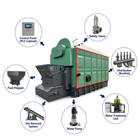 Chaudière à vapeur industrielle à tubes d'eau, automatique, horizontale, à biomasse, 8 T/H 10 T/H 1.25Mpa