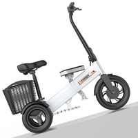Vente en gros en usine Scooter électrique de mobilité 3 roues pour bébé Scooter électrique avec charge maximale de 100kg