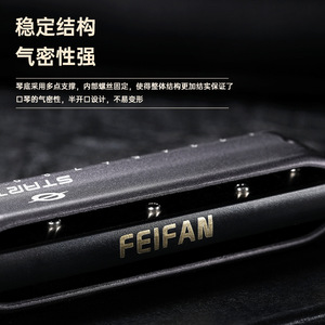 เฟยฟาน บลูส์ ฮาร์โมนิก้า รุ่น QF10 แบบ 10 รู คีย์ C เมเจอร์ สำหรับผู้เริ่มต้นและมืออาชีพ - Product Image 4