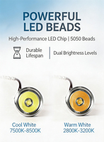 Linterna LED Industrial EDC de 10W, 480lm, Recargable Tipo-C, de Acero Inoxidable, para Exteriores, Camping, Reparación de Autos, Uso Diario, Luz Alta/Baja