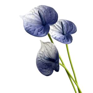 Großhandel Real Touch PU Anthurium Blume Künstliche Weiß Grün Anthurium Pflanze für Hochzeits dekoration Tisch Herzstück - Product Image 6