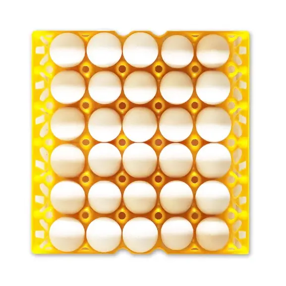 Bandeja de ovos de galinha de 30 células, método de transporte de ovos a granel para granjas, fornecedores de bandeja de ovos de galinha de plástico