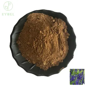 Bubuk grosir ekstrak Herbal Cas 84082-79-1 ekstrak ekstrak Salvia Divinorium ekstrak 100 ALAMI